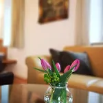 Franz Xaver Apartment Sankt Wolfgang im Salzkammergut