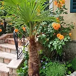 Franz Xaver Appartement *