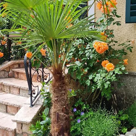 Franz Xaver Apartment *