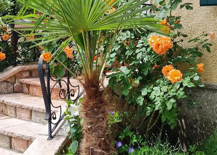 Franz Xaver Apartamento *