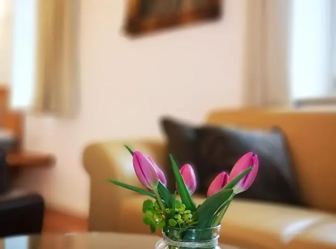 Franz Xaver Appartement Saint Wolfgang