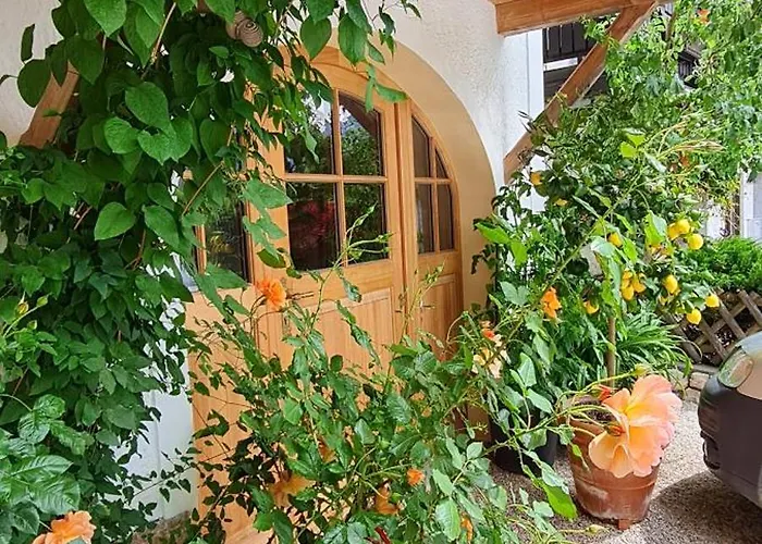 Franz Xaver Appartement *